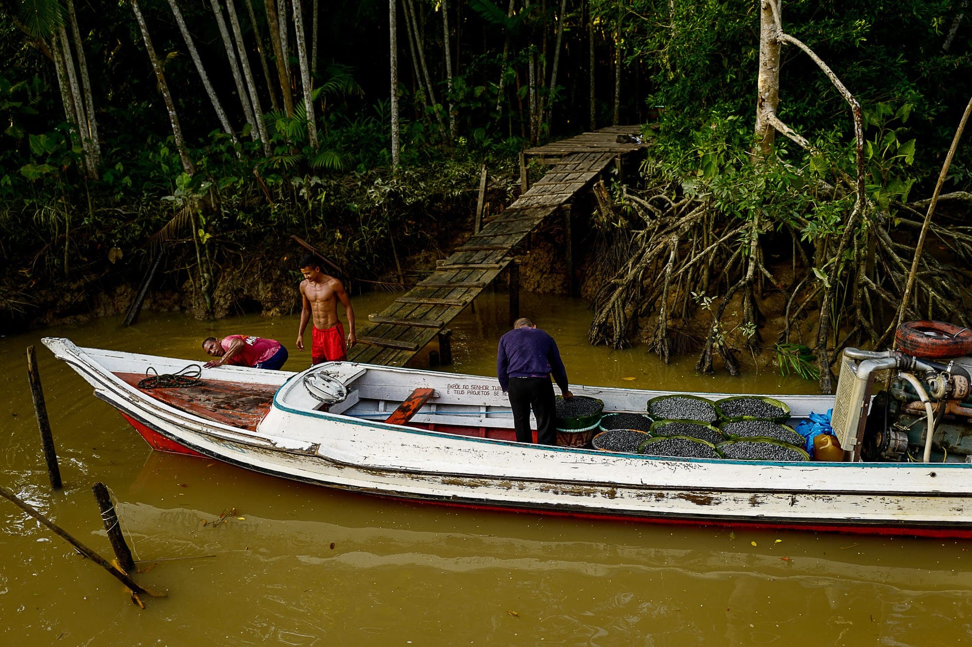 Moradores carregam um barco com açaí na beira do rio