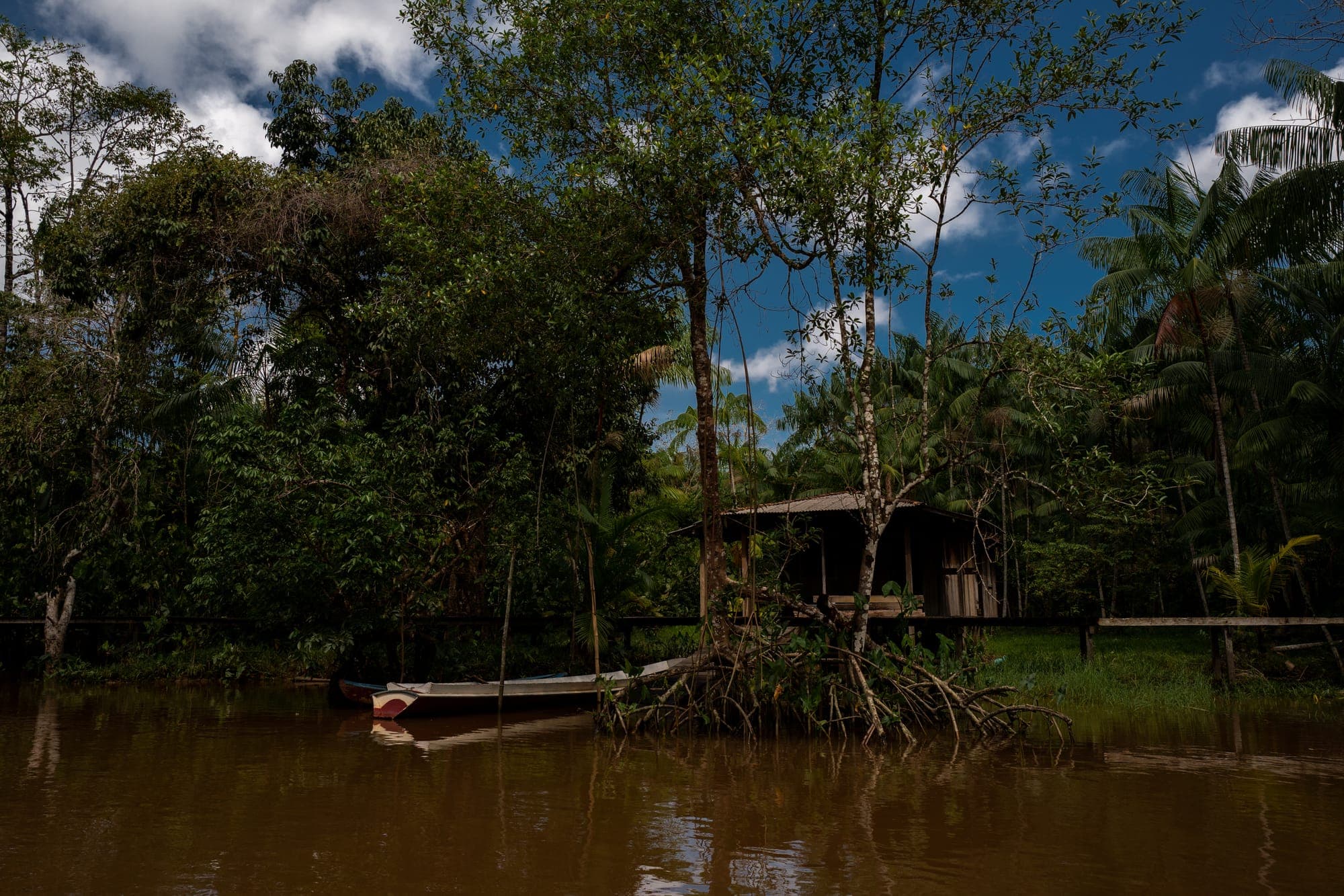 Casa escondida entre as árvores na beira do rio