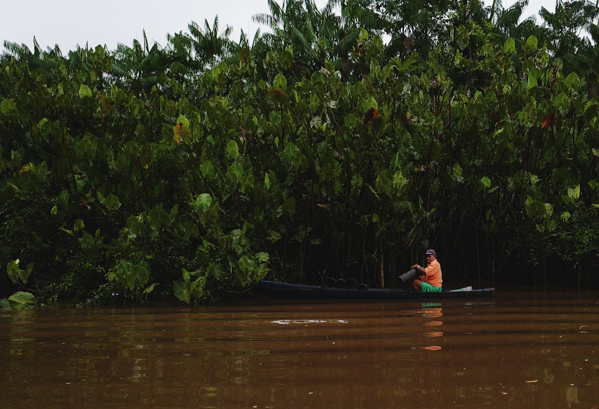 Pessoa rema uma canoa diante da mata fechada