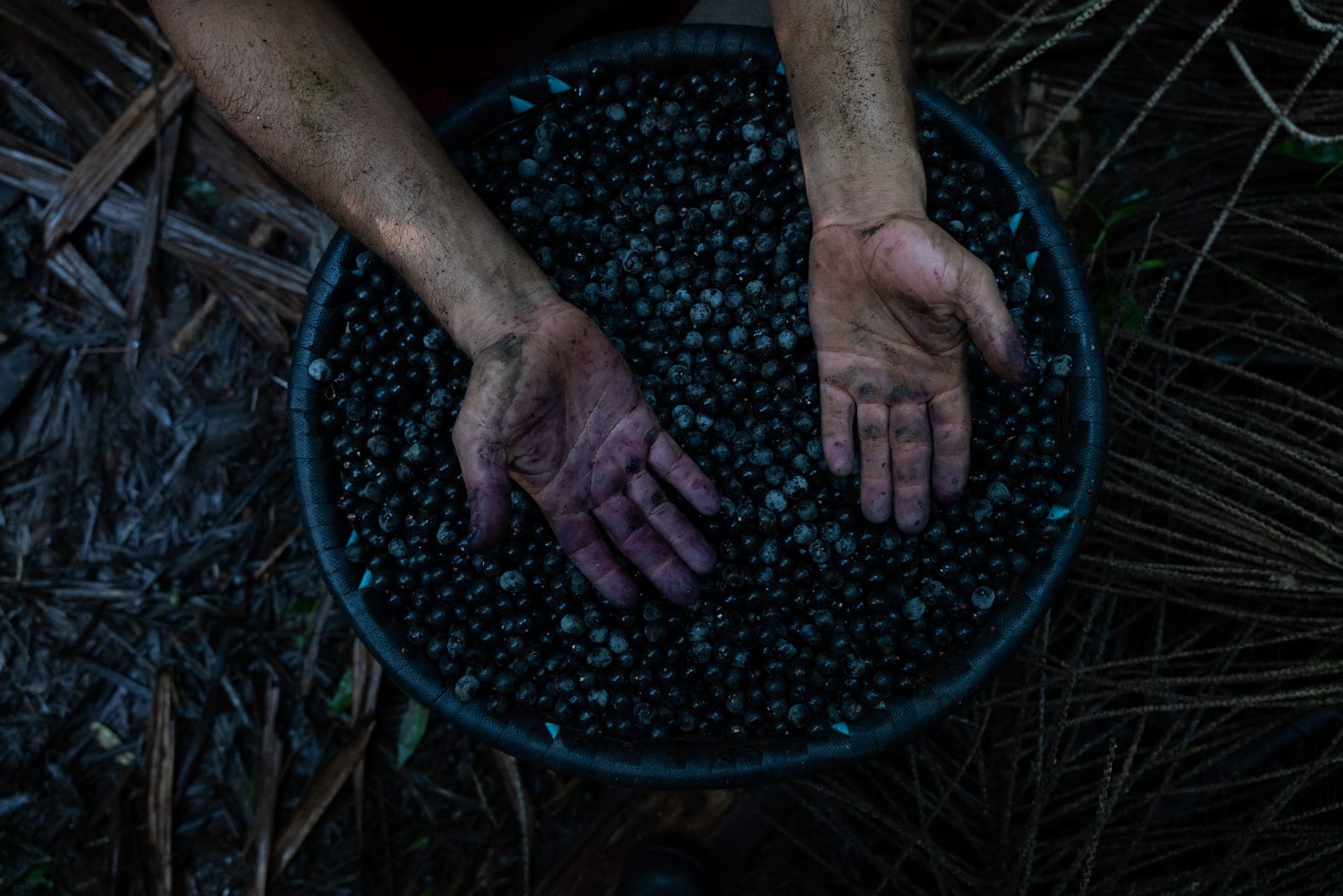Mãos sobre uma bacia de açaí
