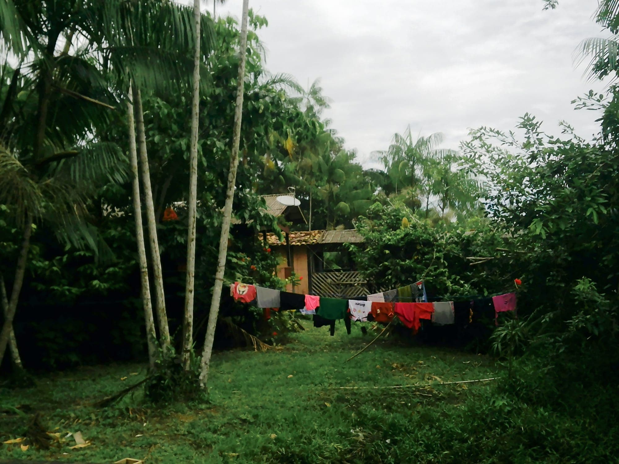 Quintal gramado com roupas no varal entre as árvores