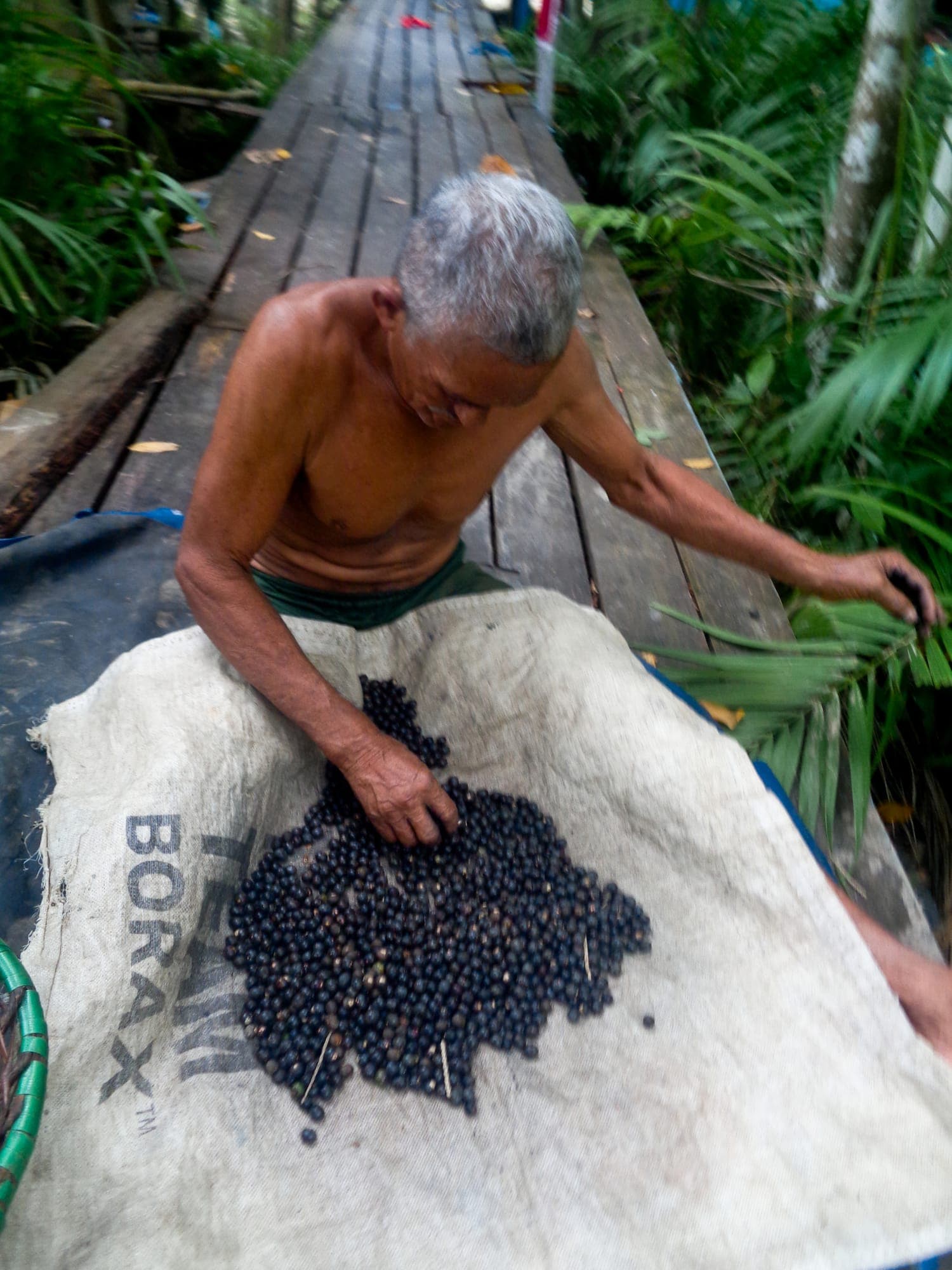 Morador debulha açaí sobre uma lona