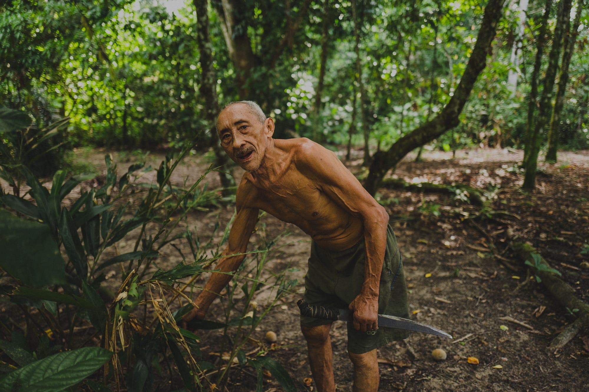 Morador idoso sorri enquanto colhe plantas na mata